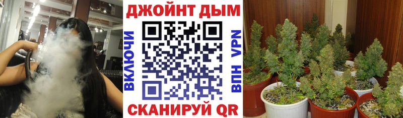 Бошки марихуана MAZAR  наркота  Макарьев 